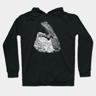 Frilled lizard Hoodie